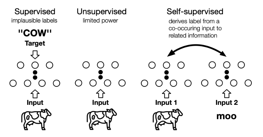 不同类型的学习之间差异